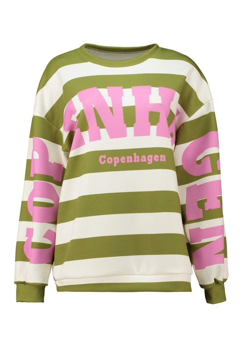 Hailys Damen Oversize Sweatshirt Streifen Print Copenhagen Grün Rosa XS-XXL