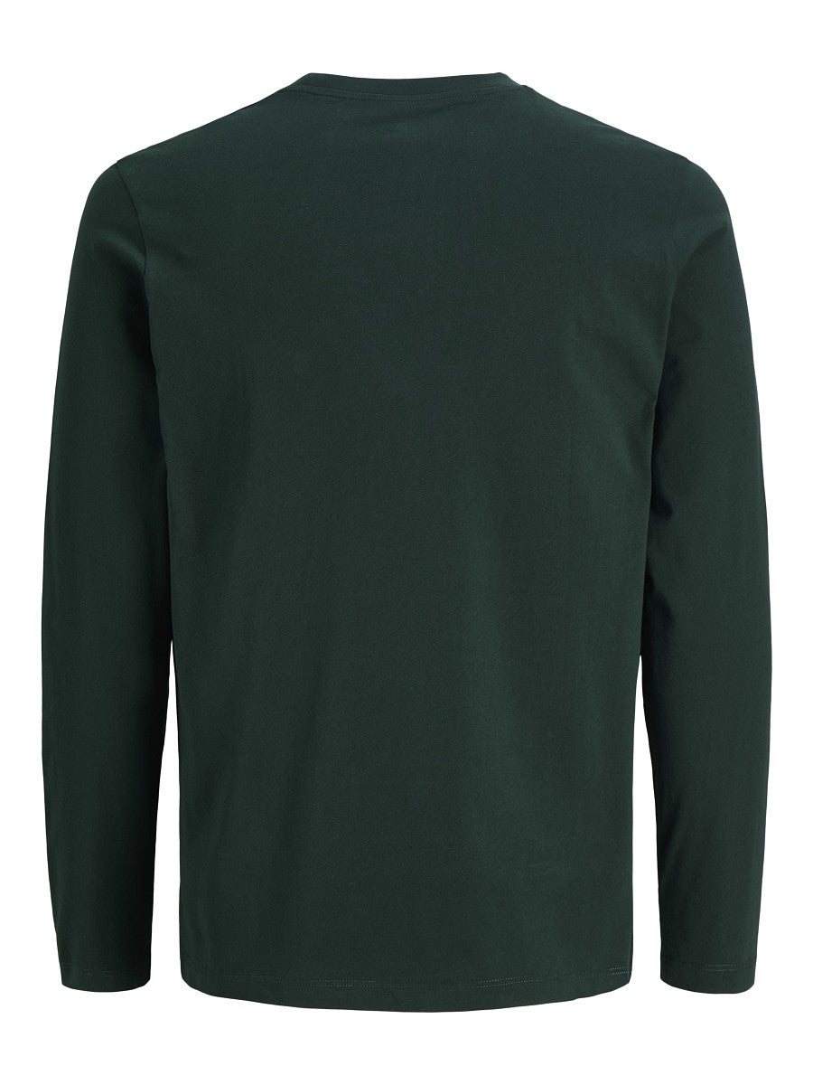 Jack & Jones junior Kinder Langarmshirt Jungen Longsleeve grün Baumwolle 140 - 176