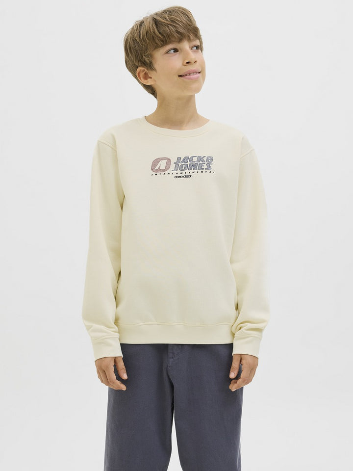 JACK & JONES Junior Basic Jungen Sweatshirt Pullover creme JCotier 140 bis 176