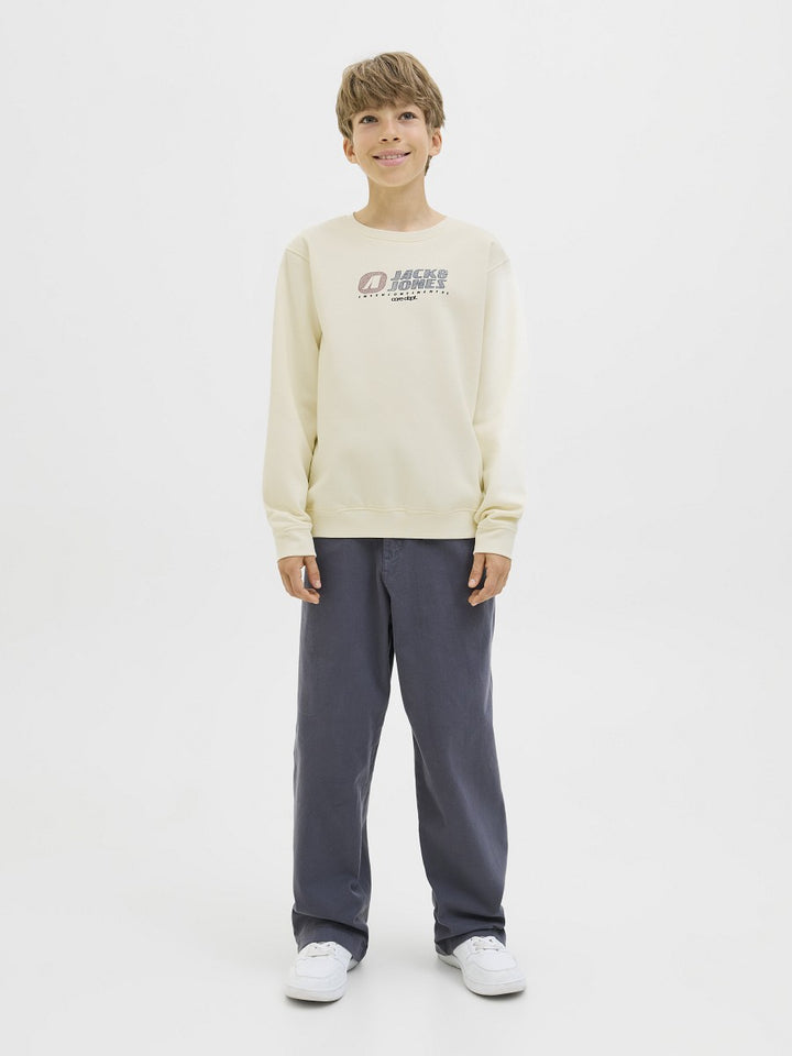 JACK & JONES Junior Basic Jungen Sweatshirt Pullover creme JCotier 140 bis 176