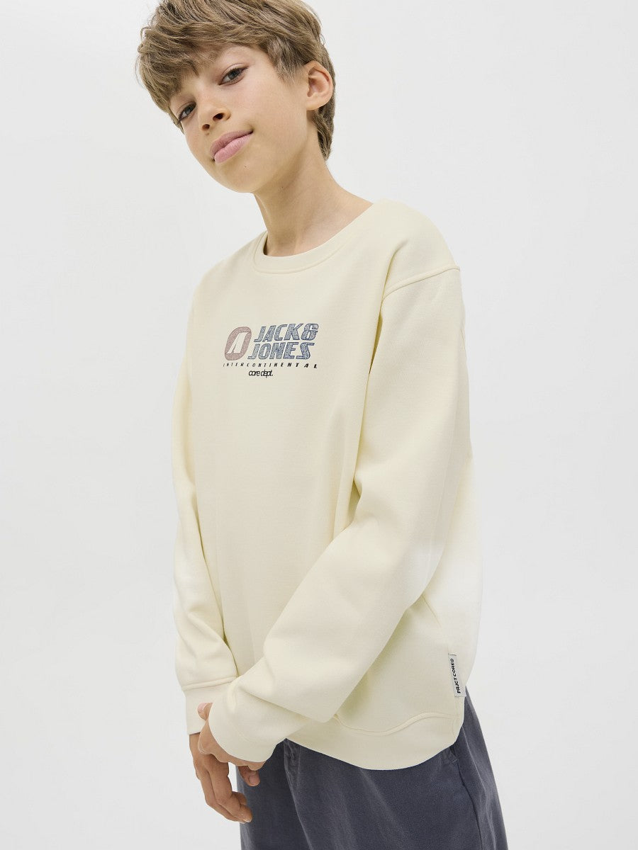 JACK & JONES Junior Basic Jungen Sweatshirt Pullover creme JCotier 140 bis 176