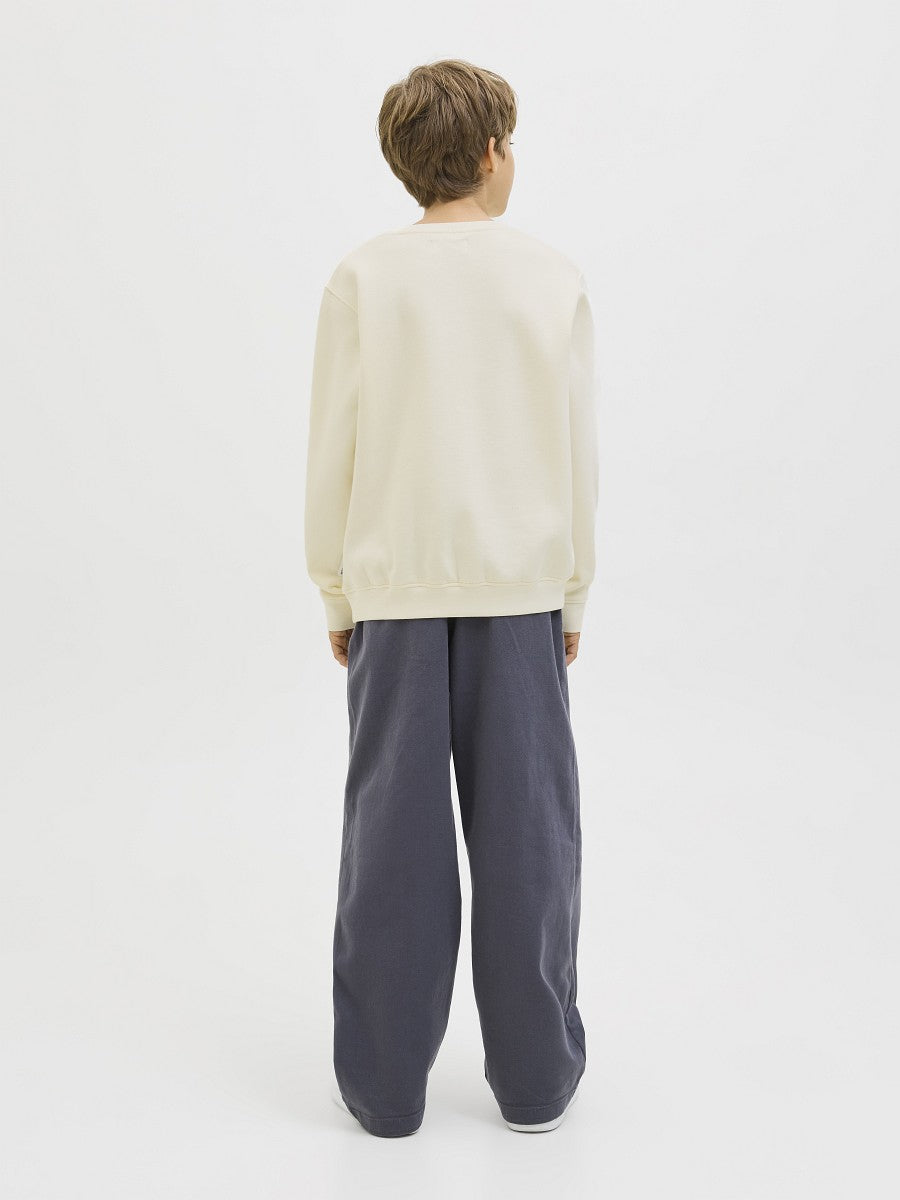 JACK & JONES Junior Basic Jungen Sweatshirt Pullover creme JCotier 140 bis 176